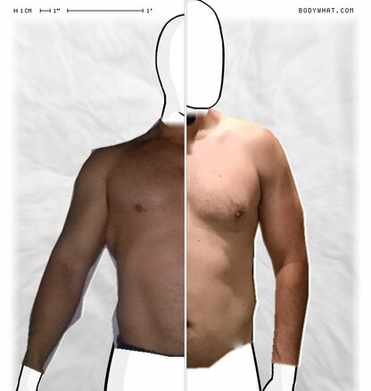 Torso Comparison