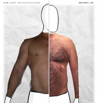 Torso Comparison