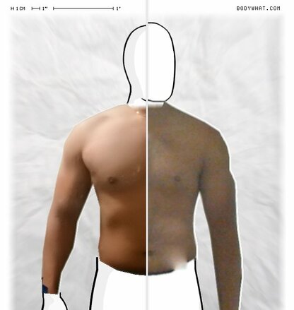 Torso Comparison