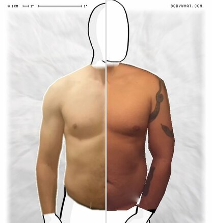 Torso Comparison