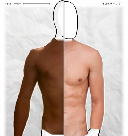 Torso Comparison