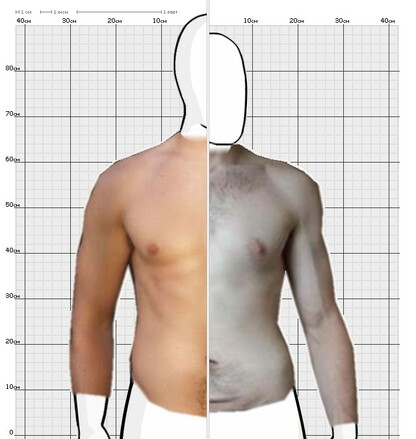 Torso Comparison