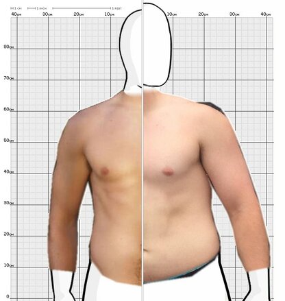 Torso Comparison