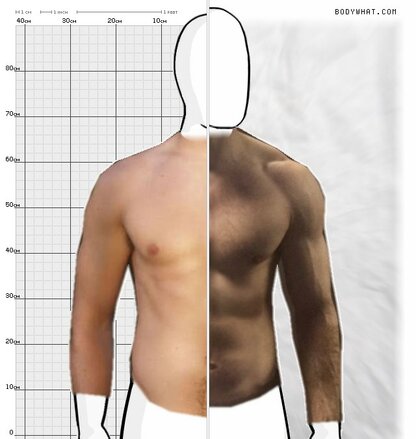 Torso Comparison