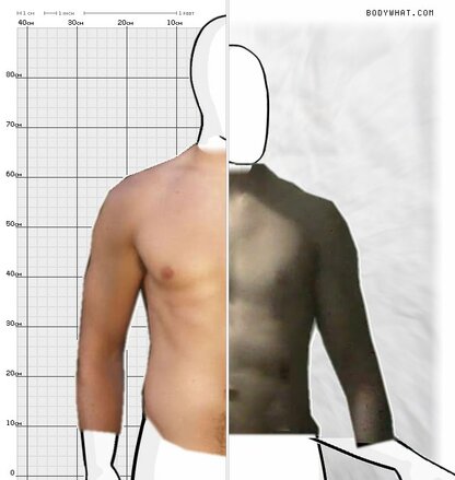 Torso Comparison