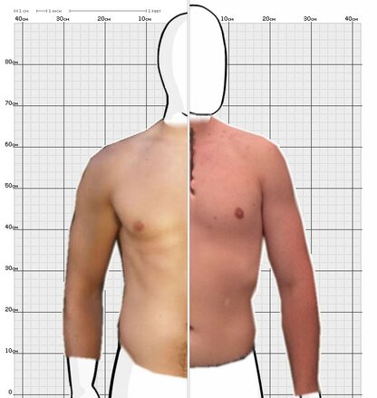Torso Comparison