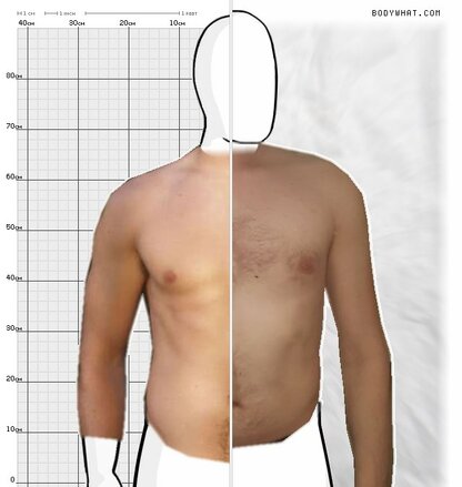 Torso Comparison