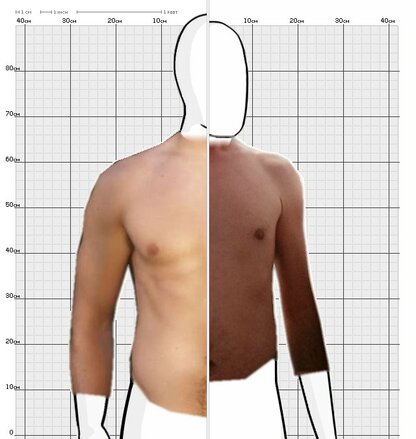 Torso Comparison