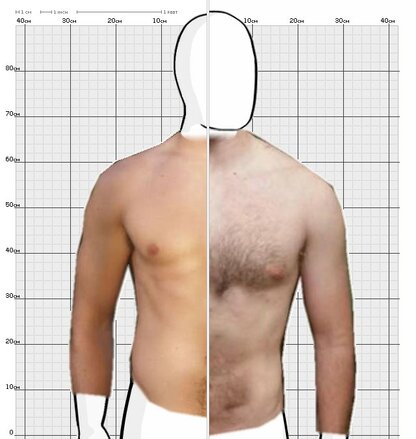 Torso Comparison