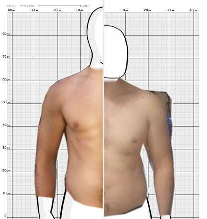 Torso Comparison