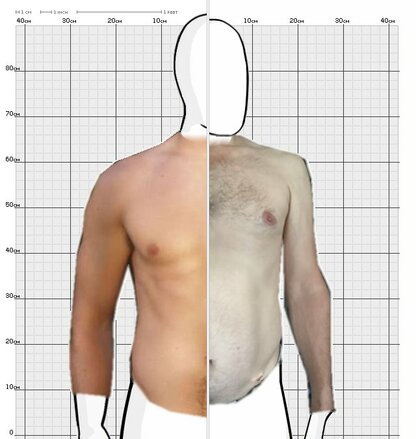 Torso Comparison