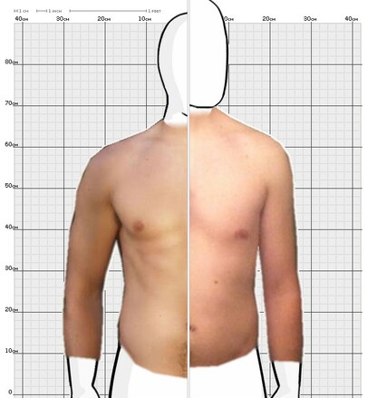 Torso Comparison