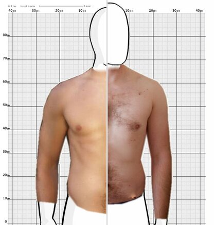 Torso Comparison