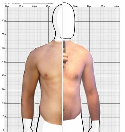 Torso Comparison