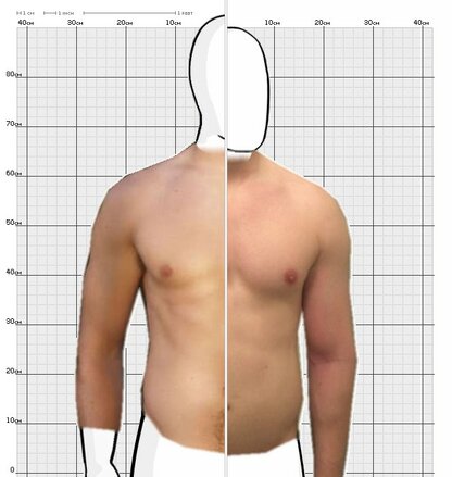 Torso Comparison