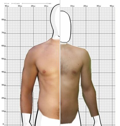 Torso Comparison