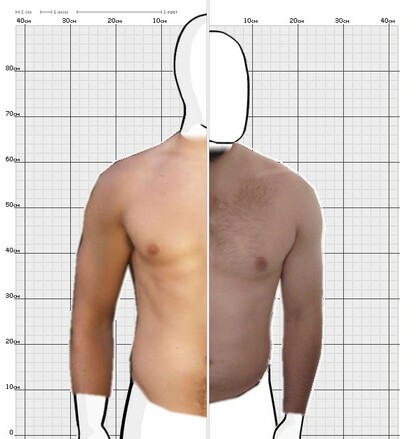 Torso Comparison