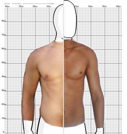 Torso Comparison