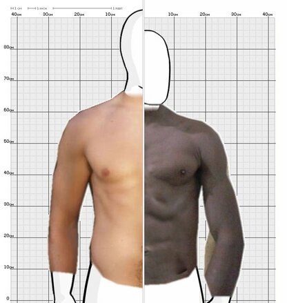 Torso Comparison