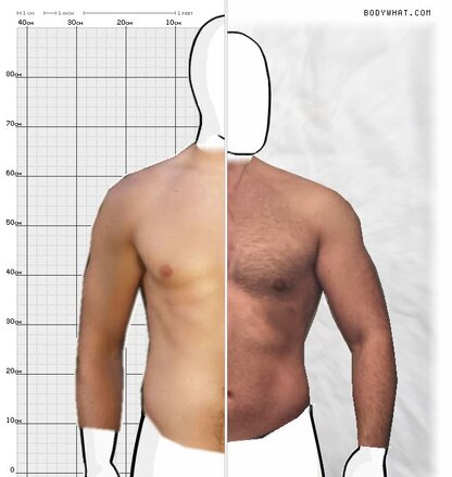 Torso Comparison