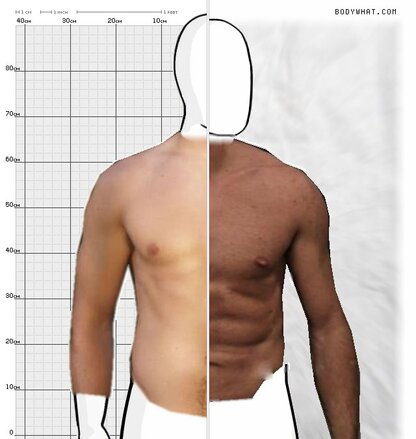 Torso Comparison