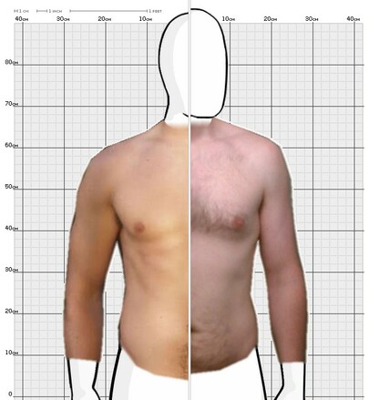 Torso Comparison