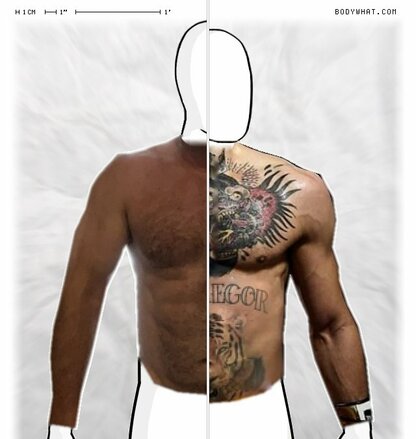 Torso Comparison