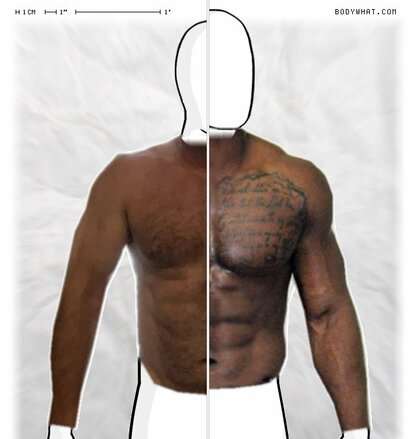 Torso Comparison