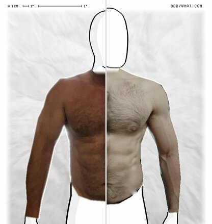 Torso Comparison
