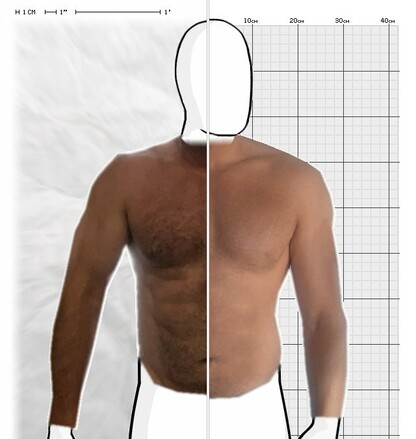 Torso Comparison