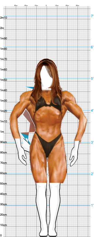 Full Size Comparison