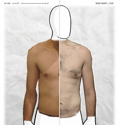 Torso Comparison