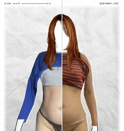 Torso Comparison