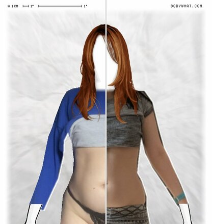 Torso Comparison