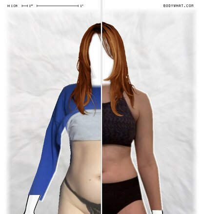 Torso Comparison