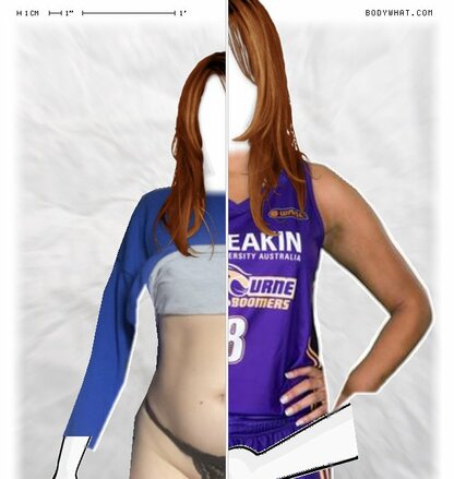 Torso Comparison