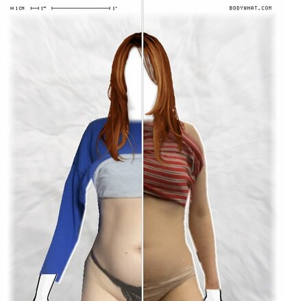 Torso Comparison