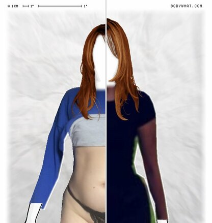 Torso Comparison