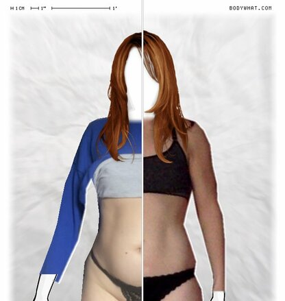 Torso Comparison