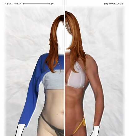 Torso Comparison