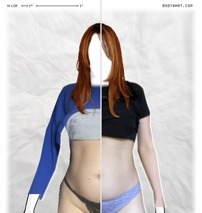 Torso Comparison
