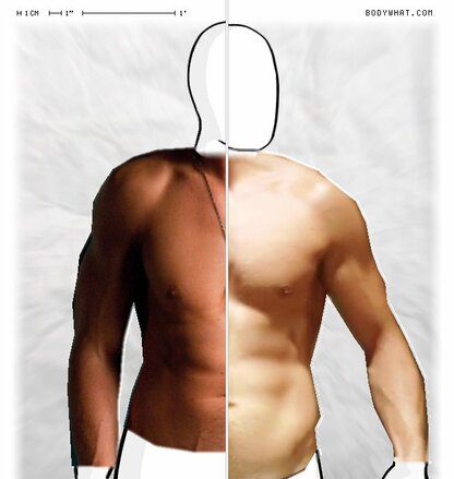 Torso Comparison