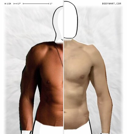 Torso Comparison