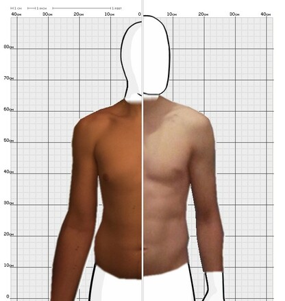 Torso Comparison