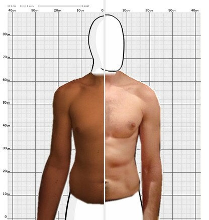 Torso Comparison