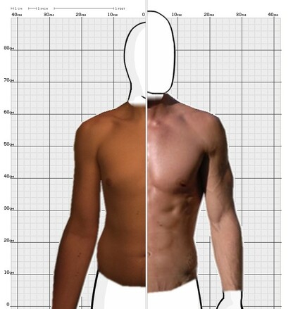 Torso Comparison