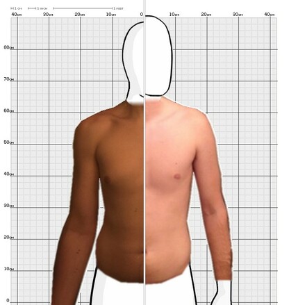 Torso Comparison