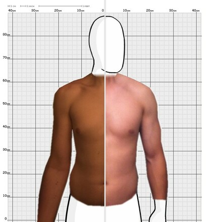 Torso Comparison