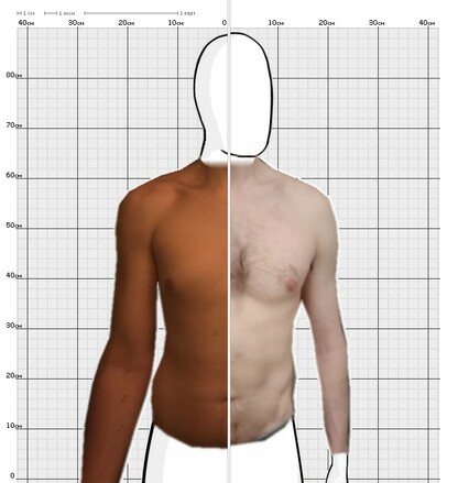 Torso Comparison