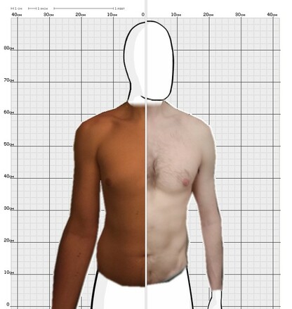 Torso Comparison